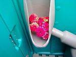 Click image for larger version.&nbsp;

Name:	dahlias in the urinal.jpg&nbsp;
Views:	222&nbsp;
Size:	42.3 KB&nbsp;
ID:	10087