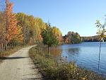 Click image for larger version. 

Name:	FallColours1.jpg 
Views:	262 
Size:	180.6 KB 
ID:	10239
