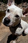 Click image for larger version.&nbsp;

Name:	Sweetpea.jpg&nbsp;
Views:	666&nbsp;
Size:	81.6 KB&nbsp;
ID:	10422