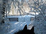 Click image for larger version.&nbsp;

Name:	pasturessnow.jpg&nbsp;
Views:	778&nbsp;
Size:	91.7 KB&nbsp;
ID:	10509