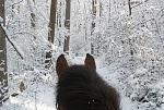 Click image for larger version.&nbsp;

Name:	trailsnow.jpg&nbsp;
Views:	781&nbsp;
Size:	83.7 KB&nbsp;
ID:	10511