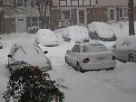Click image for larger version.&nbsp;

Name:	SnowCars_0267.jpg&nbsp;
Views:	567&nbsp;
Size:	188.0 KB&nbsp;
ID:	10569