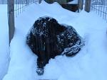 Click image for larger version.&nbsp;

Name:	MaddieSleeping.jpg&nbsp;
Views:	541&nbsp;
Size:	37.5 KB&nbsp;
ID:	10573