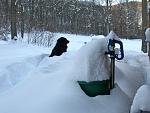 Click image for larger version.&nbsp;

Name:	MaddieHydrant.jpg&nbsp;
Views:	555&nbsp;
Size:	54.8 KB&nbsp;
ID:	10582