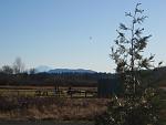 Click image for larger version.&nbsp;

Name:	mt rainier dec 26.jpg&nbsp;
Views:	109&nbsp;
Size:	46.4 KB&nbsp;
ID:	10621