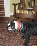 Click image for larger version.&nbsp;

Name:	AJ's cone small.jpg&nbsp;
Views:	636&nbsp;
Size:	26.2 KB&nbsp;
ID:	11395