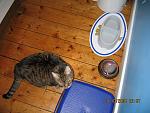 Click image for larger version.&nbsp;

Name:	Missy & mouse 19-Oct-2006.jpg&nbsp;
Views:	622&nbsp;
Size:	83.8 KB&nbsp;
ID:	11787