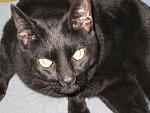 Click image for larger version.&nbsp;

Name:	IMG_0064.jpg&nbsp;
Views:	475&nbsp;
Size:	76.4 KB&nbsp;
ID:	12345