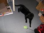 Click image for larger version.&nbsp;

Name:	IMG_0076.jpg&nbsp;
Views:	507&nbsp;
Size:	52.1 KB&nbsp;
ID:	12346