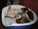 Click image for larger version.&nbsp;

Name:	luca half twist.jpg&nbsp;
Views:	858&nbsp;
Size:	111.4 KB&nbsp;
ID:	13182