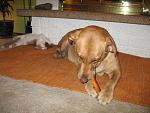 Click image for larger version.&nbsp;

Name:	IMG_5356.jpg&nbsp;
Views:	533&nbsp;
Size:	73.5 KB&nbsp;
ID:	13359