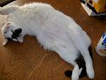 Click image for larger version.&nbsp;

Name:	moe 004.jpg&nbsp;
Views:	524&nbsp;
Size:	44.2 KB&nbsp;
ID:	13604