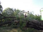 Click image for larger version.&nbsp;

Name:	tree down!.jpg&nbsp;
Views:	220&nbsp;
Size:	63.0 KB&nbsp;
ID:	13647