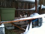 Click image for larger version.&nbsp;

Name:	outside cats.jpg&nbsp;
Views:	230&nbsp;
Size:	53.9 KB&nbsp;
ID:	14170