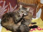 Click image for larger version.&nbsp;

Name:	P9290006.jpg&nbsp;
Views:	692&nbsp;
Size:	92.7 KB&nbsp;
ID:	15410