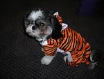 Click image for larger version.&nbsp;

Name:	DSCN1917.jpg&nbsp;
Views:	261&nbsp;
Size:	32.7 KB&nbsp;
ID:	15612