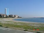 Click image for larger version.&nbsp;

Name:	DSC03377.jpg&nbsp;
Views:	334&nbsp;
Size:	52.4 KB&nbsp;
ID:	15884