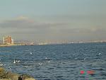 Click image for larger version.&nbsp;

Name:	DSC03363.jpg&nbsp;
Views:	332&nbsp;
Size:	46.7 KB&nbsp;
ID:	15886