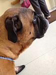 Click image for larger version.&nbsp;

Name:	IMG_1356.jpg&nbsp;
Views:	625&nbsp;
Size:	54.0 KB&nbsp;
ID:	15926