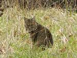 Click image for larger version. 

Name:	DSCN5779.jpg 
Views:	522 
Size:	87.6 KB 
ID:	15928