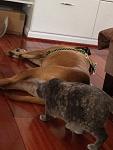 Click image for larger version.&nbsp;

Name:	IMG_1376.jpg&nbsp;
Views:	619&nbsp;
Size:	55.2 KB&nbsp;
ID:	15941