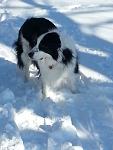Click image for larger version.&nbsp;

Name:	Bandit1.jpg&nbsp;
Views:	745&nbsp;
Size:	43.0 KB&nbsp;
ID:	15959