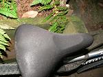 Click image for larger version. 

Name:	seat.jpg 
Views:	485 
Size:	82.8 KB 
ID:	16095