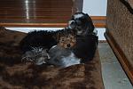 Click image for larger version.&nbsp;

Name:	miscphotos063_zps6c02684a.jpg&nbsp;
Views:	671&nbsp;
Size:	52.0 KB&nbsp;
ID:	16144