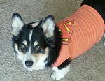 Click image for larger version. 

Name:	2013-06-15 15.55.41-s.jpg 
Views:	696 
Size:	63.1 KB 
ID:	16374