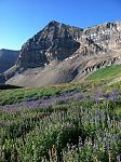 Click image for larger version.&nbsp;

Name:	view-peak_sm.jpg&nbsp;
Views:	572&nbsp;
Size:	116.2 KB&nbsp;
ID:	16586