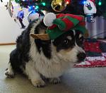 Click image for larger version. 

Name:	Christmas 018s.jpg 
Views:	141 
Size:	59.3 KB 
ID:	16851