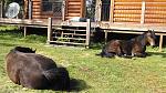 Click image for larger version. 

Name:	IMG_20140420_164733200.jpg 
Views:	825 
Size:	102.0 KB 
ID:	17049