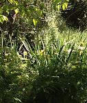 Click image for larger version.&nbsp;

Name:	ImageUploadedByTapatalk1401738746.951646.jpg&nbsp;
Views:	463&nbsp;
Size:	143.6 KB&nbsp;
ID:	17154