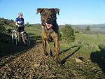 Click image for larger version.&nbsp;

Name:	trail fosco.jpg&nbsp;
Views:	707&nbsp;
Size:	88.1 KB&nbsp;
ID:	17204