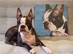 Click image for larger version.&nbsp;

Name:	paintLola.jpg&nbsp;
Views:	688&nbsp;
Size:	49.7 KB&nbsp;
ID:	17298