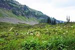 Click image for larger version.&nbsp;

Name:	DSC00081-edit.jpg&nbsp;
Views:	285&nbsp;
Size:	194.7 KB&nbsp;
ID:	17320