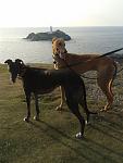 Click image for larger version.&nbsp;

Name:	at godrevy2.jpg&nbsp;
Views:	647&nbsp;
Size:	52.8 KB&nbsp;
ID:	17696