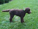 Click image for larger version.&nbsp;

Name:	1sthaircut.jpg&nbsp;
Views:	928&nbsp;
Size:	118.1 KB&nbsp;
ID:	17699