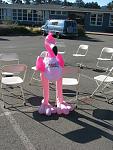 Click image for larger version. 

Name:	IMG_0022.jpg 
Views:	321 
Size:	94.3 KB 
ID:	17819