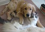 Click image for larger version. 

Name:	IMG0111web.jpg 
Views:	481 
Size:	57.4 KB 
ID:	17970