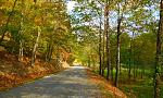 Click image for larger version.&nbsp;

Name:	DSCN9631_01.jpg&nbsp;
Views:	346&nbsp;
Size:	105.9 KB&nbsp;
ID:	18224
