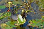 Click image for larger version.&nbsp;

Name:	DSCN0134_01.jpg&nbsp;
Views:	216&nbsp;
Size:	76.8 KB&nbsp;
ID:	18265