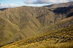 Click image for larger version. 

Name:	alpine-tussock-singletrack-queenstown-mountains.jpg 
Views:	195 
Size:	75.9 KB 
ID:	18366