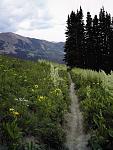 Click image for larger version.&nbsp;

Name:	401descent.JPG&nbsp;
Views:	442&nbsp;
Size:	155.0 KB&nbsp;
ID:	2202