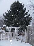Click image for larger version. 

Name:	jen's snow - finally.jpg 
Views:	208 
Size:	154.4 KB 
ID:	2534