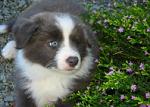 Click image for larger version.&nbsp;

Name:	Neo small.jpg&nbsp;
Views:	291&nbsp;
Size:	51.3 KB&nbsp;
ID:	2543