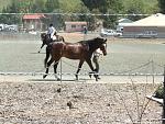 Click image for larger version.&nbsp;

Name:	Cinderella 2007 033.resize.jpg&nbsp;
Views:	599&nbsp;
Size:	163.2 KB&nbsp;
ID:	2897