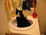 Click image for larger version.&nbsp;

Name:	Junior comes to visit.jpg&nbsp;
Views:	284&nbsp;
Size:	175.9 KB&nbsp;
ID:	3736
