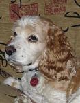Click image for larger version. 

Name:	remy xmas 2002.jpg 
Views:	321 
Size:	53.7 KB 
ID:	3922