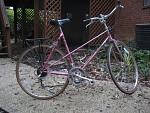 Click image for larger version. 

Name:	pink mixte 003.jpg 
Views:	1912 
Size:	66.0 KB 
ID:	4512